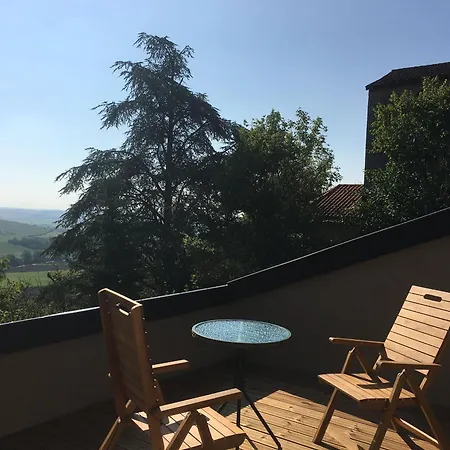 Historique Avec Terrasse Panoramique Près De Nancy - Fr-1-584-348